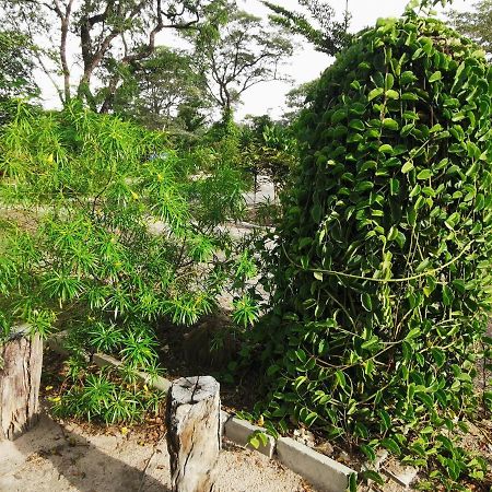 Happy Forest B&B Katima Mulilo Buitenkant foto