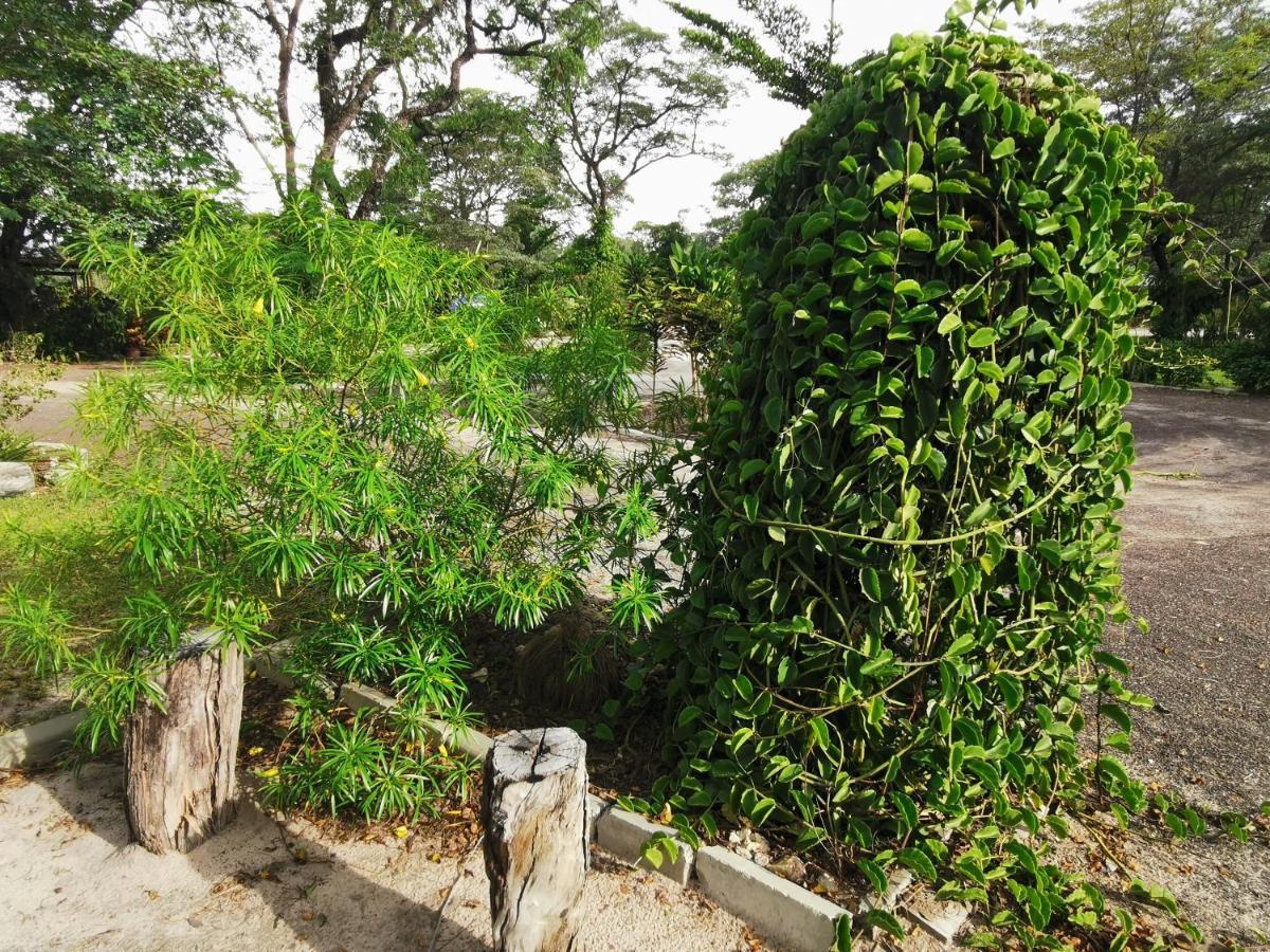 Happy Forest B&B Katima Mulilo Buitenkant foto