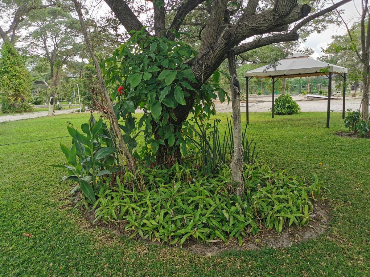 Happy Forest B&B Katima Mulilo Buitenkant foto