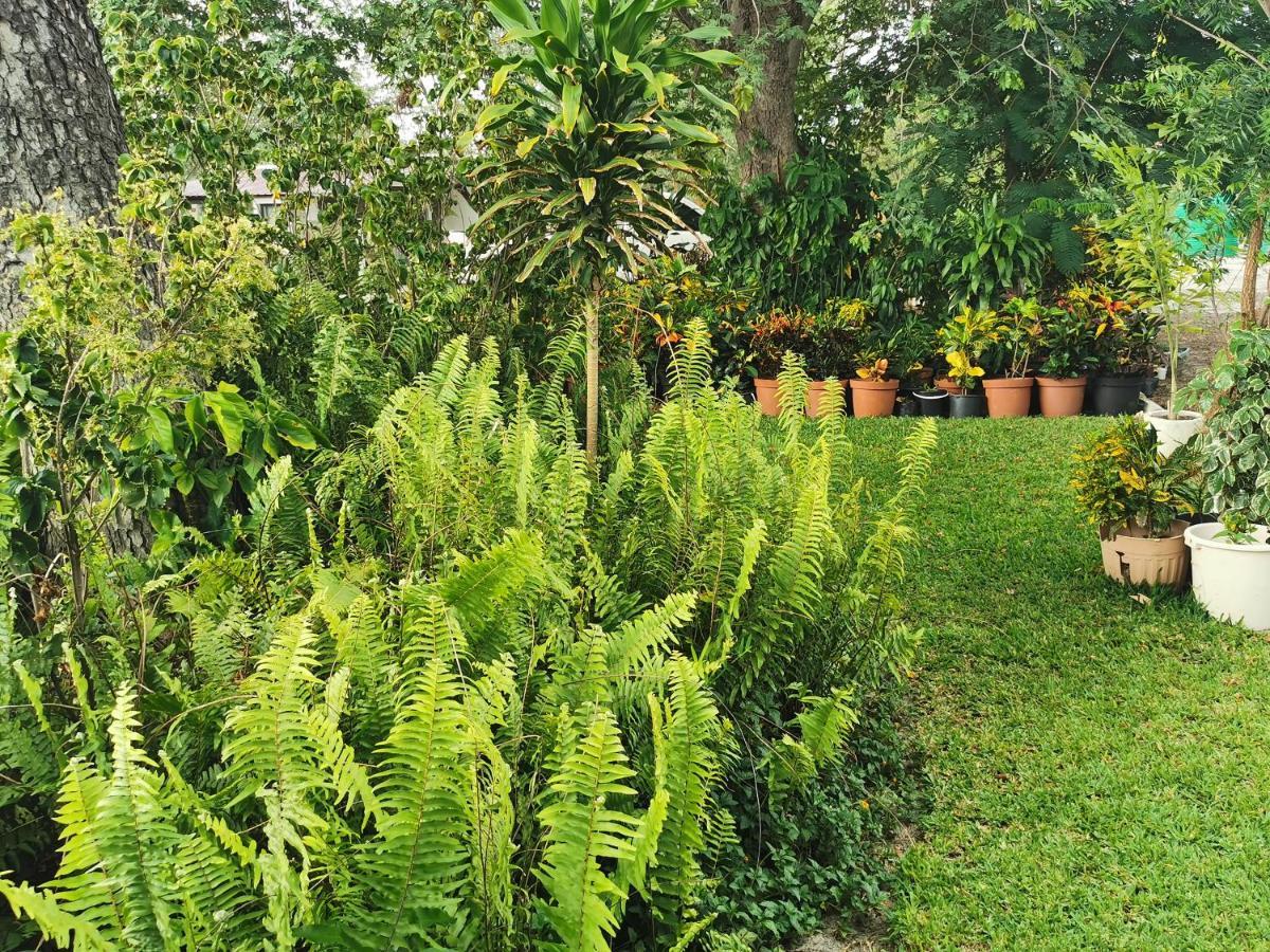 Happy Forest B&B Katima Mulilo Buitenkant foto