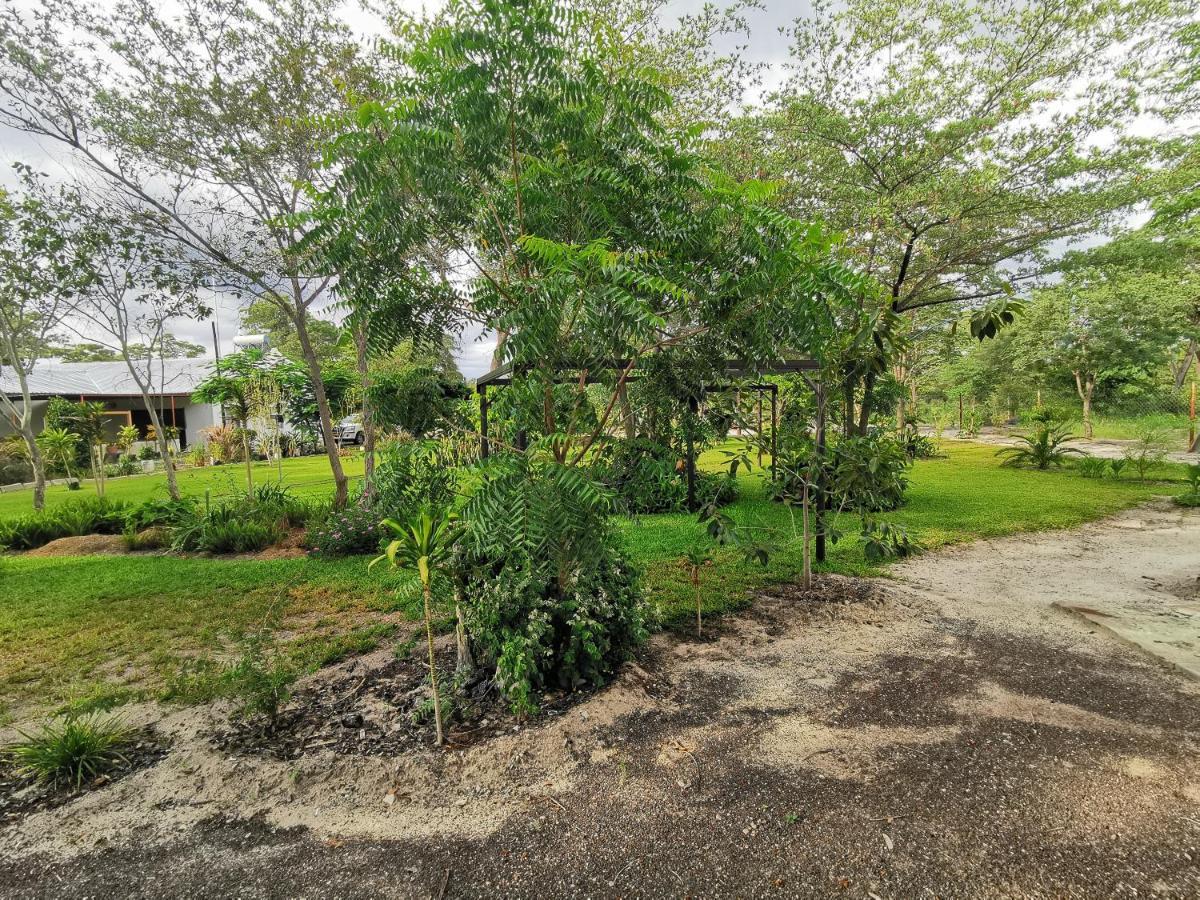 Happy Forest B&B Katima Mulilo Buitenkant foto