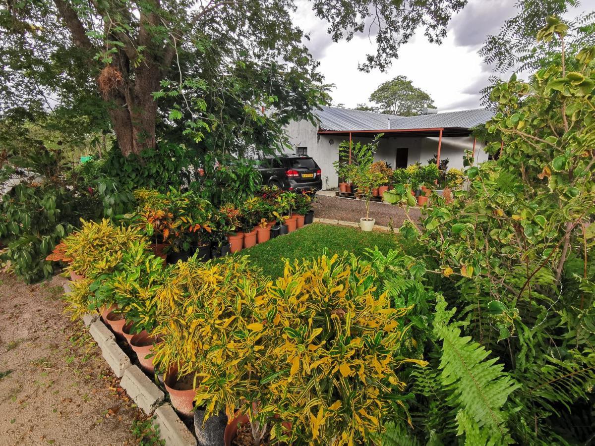 Happy Forest B&B Katima Mulilo Buitenkant foto
