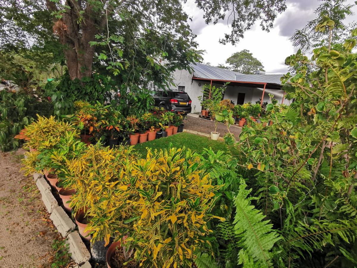 Happy Forest B&B Katima Mulilo Buitenkant foto